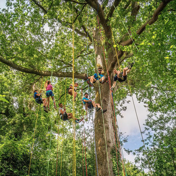 Grand-Défi-parc-accrobranche-Saint-Julien-des-Landes_SousLePin Grand-Défi-parc-accrobranche-Saint-Julien-des-Landes_SousLePin