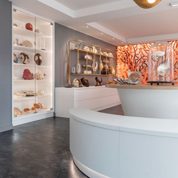 Museum-du-coquillage-Sables-d'Olonne_SouLePin Museum-du-coquillage-Sables-d'Olonne_SouLePin