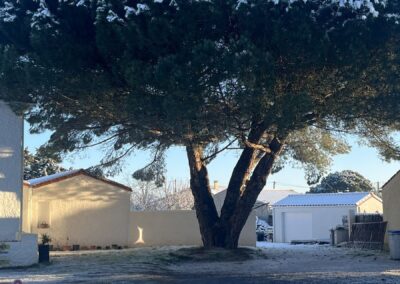 maison hote sous le pin enneigé vendée olonne